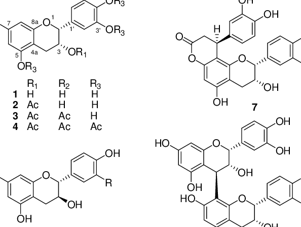The Chemical Structure Of Compounds 1-8 - Fragmentation (594x447), Png Download