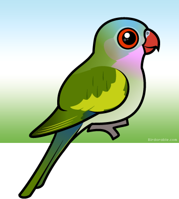 More Products - Cartoon (360x401), Png Download