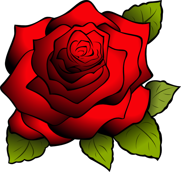 Red Rose - Red Rose Clipart Png (600x572), Png Download