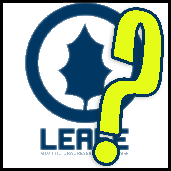 Leafe-logo - Key Frame (720x720), Png Download