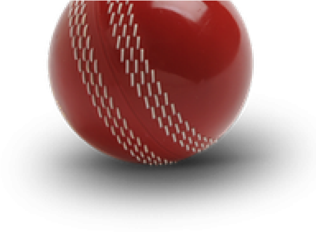 Cricket Ball Png Transparent Images - Men's Slazenger Training Cricket Ball - White/red/white/red (640x480), Png Download