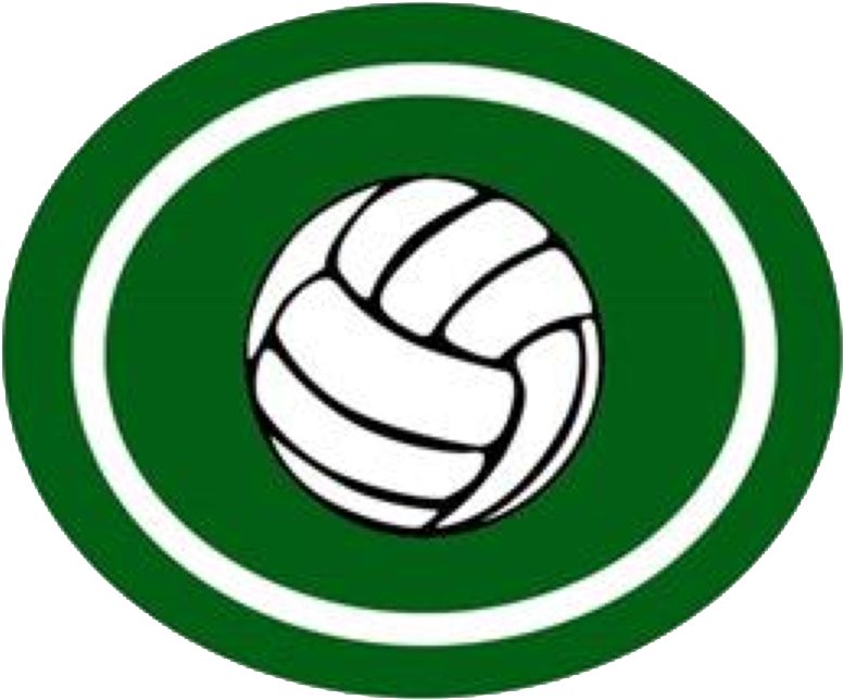 31, 10 March 2015 - Peace Love Volleyball (781x657), Png Download