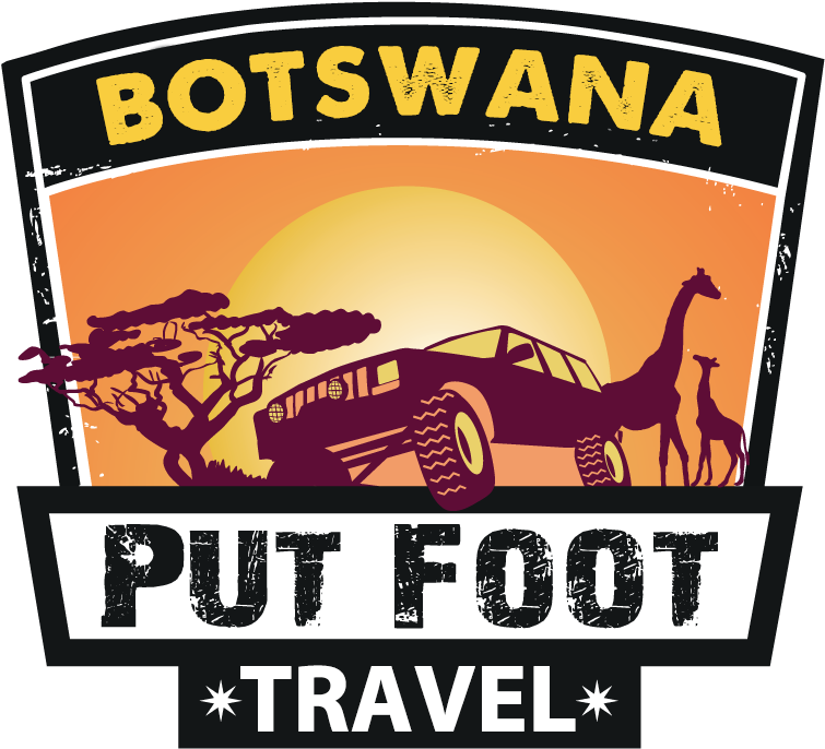 Botswana Pfr Travel - Animal Wall Sticker - Jungle Wall Decal (842x842), Png Download