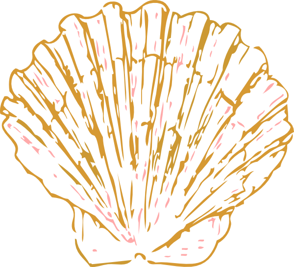 Gold Shell Clipart Clip Art - Gold Shell Clip Art (600x546), Png Download