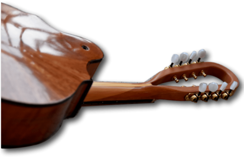 Radiant Instrument Necks And Neck Joins - Neck (500x383), Png Download