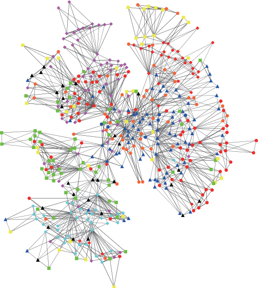Planar Maximally Filtered Graph Of 457 Stocks In The - Stock (503x560), Png Download