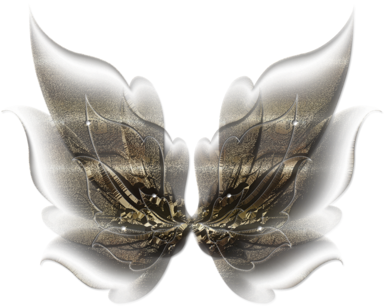 Butterfly (872x747), Png Download