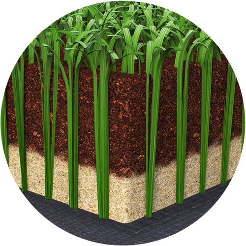 Coconut (500x500), Png Download