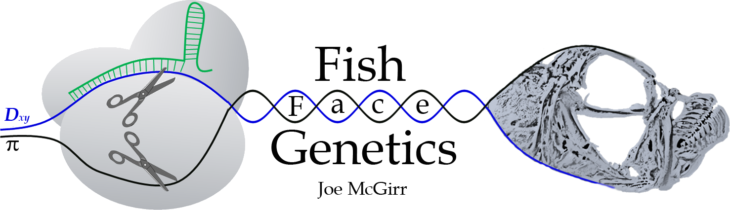 Fish Face Genetics - Genetics (1477x426), Png Download