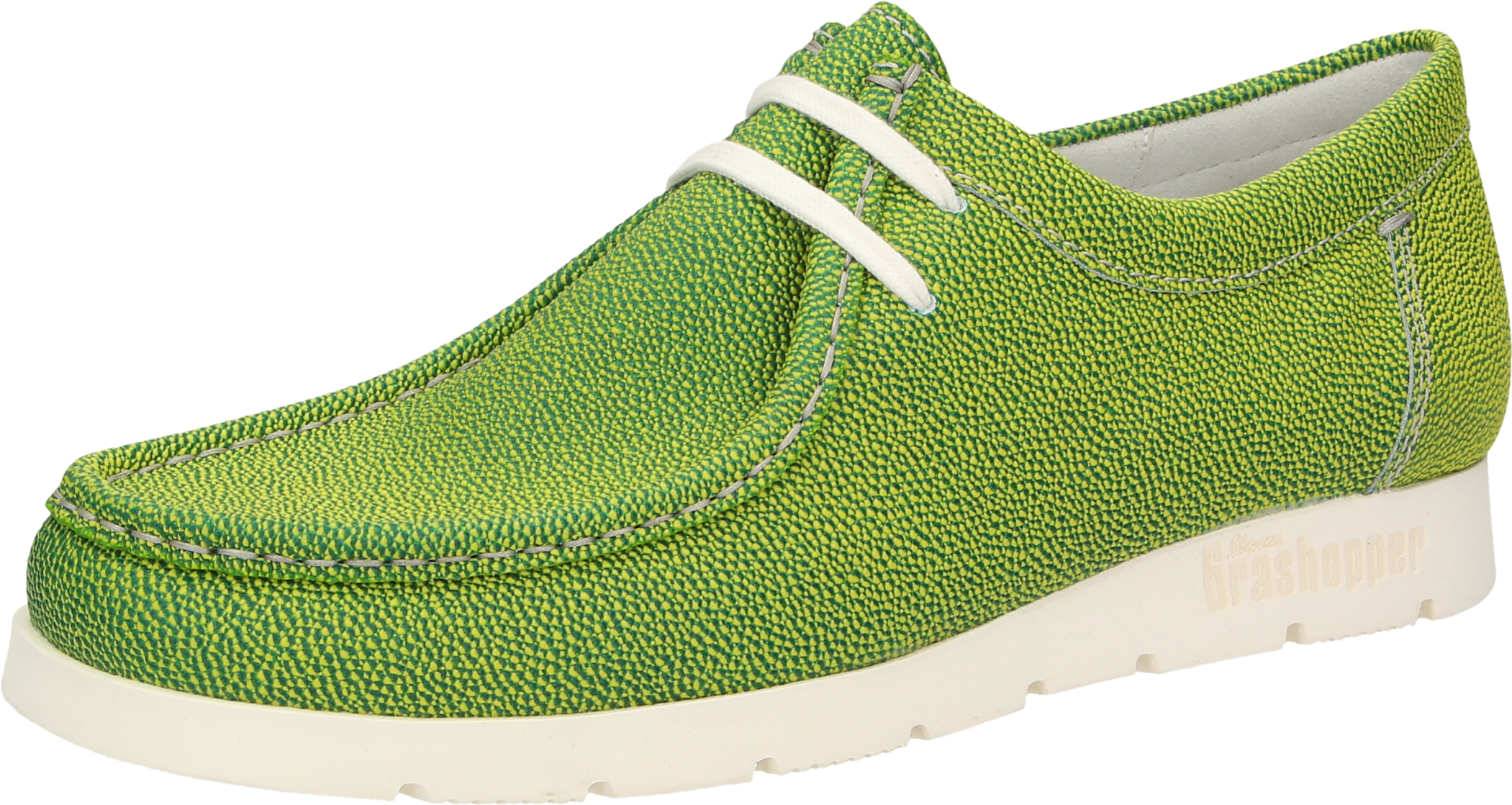 H172 - Slip-on Shoe (2200x2200), Png Download