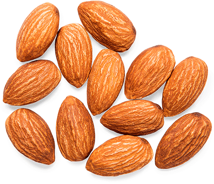 Almond Png - Almond (550x550), Png Download