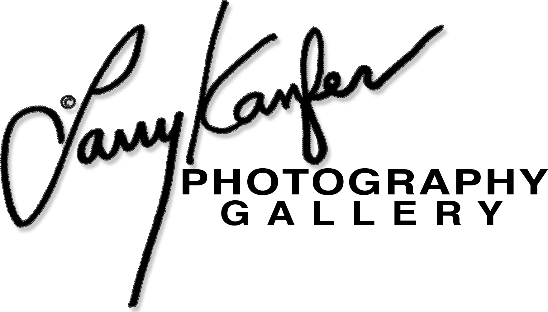 Larry Kanfer Photography Gallery - Png Logo Photography Hd White (1825x1002), Png Download