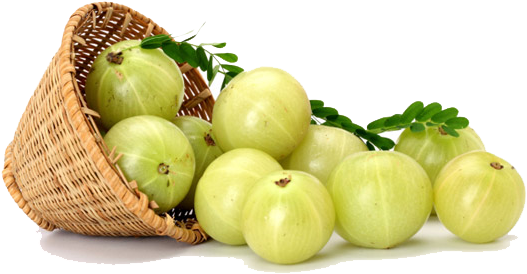 Health Benfits Of Amla - Amla Powder (600x450), Png Download