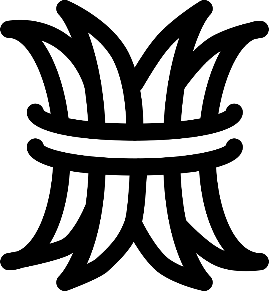 Fdx Alfalfa Crops Comments (906x980), Png Download