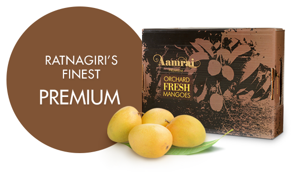 Buy Mangoes - Olive (586x346), Png Download