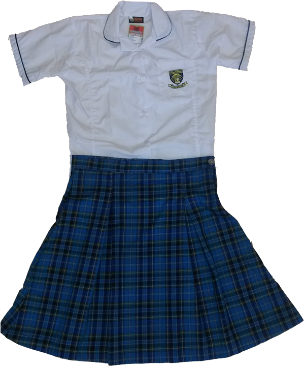 Dress1 - Plaid (600x783), Png Download