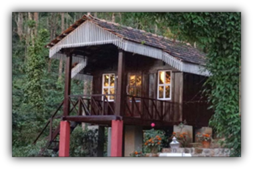 Wooden Cottage - Jungle Greens Chikmagalur Homestay (500x335), Png Download