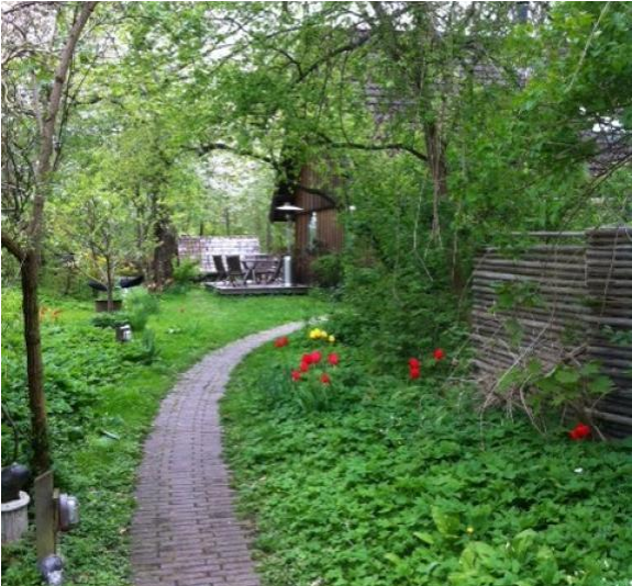 Wooden House On Nature Ground - Backyard (800x533), Png Download