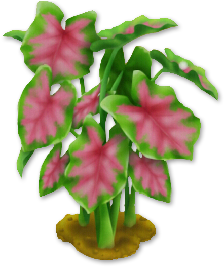 Elephant Ear Plant - Cattlianthe Jewel Box (528x528), Png Download