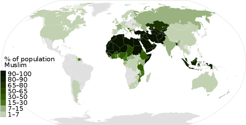 World Muslim Population By Percentage - Islam Population (800x411), Png Download