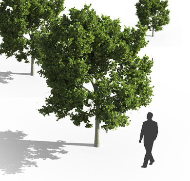 While Highly Detailed Models Are Nice, Their Size Can - Cinema 4d (390x373), Png Download