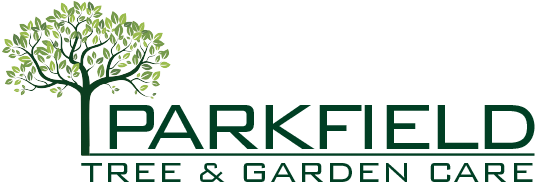 Graphic Design (595x227), Png Download