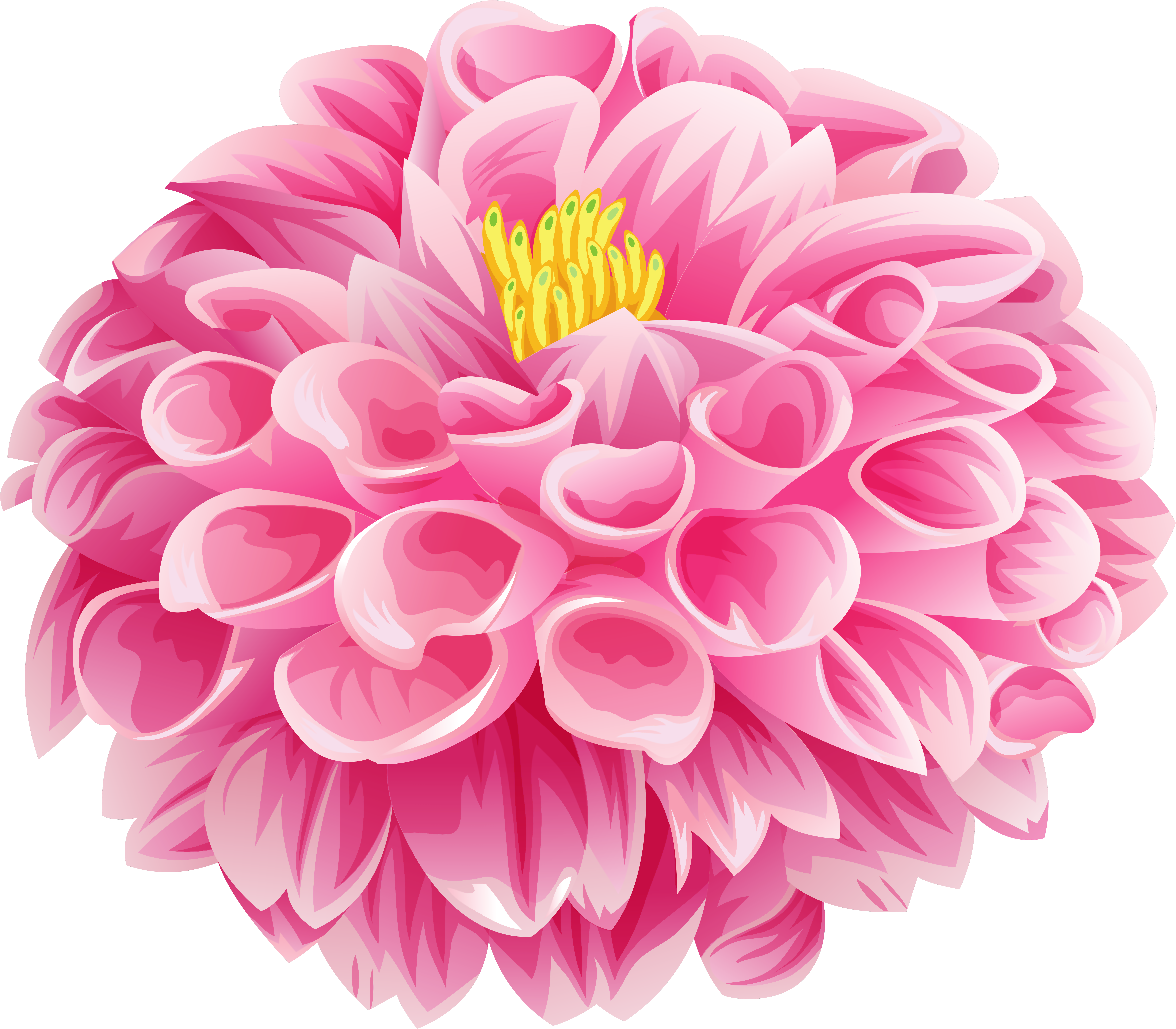 Dahlia Flower Png (8000x7007), Png Download