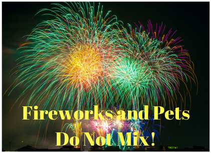 Aspca Fireworks And Lost Dogs Fireworks And Dogs Are - Class Of 2017 Journal (journals, Diary, Notebook) (560x315), Png Download
