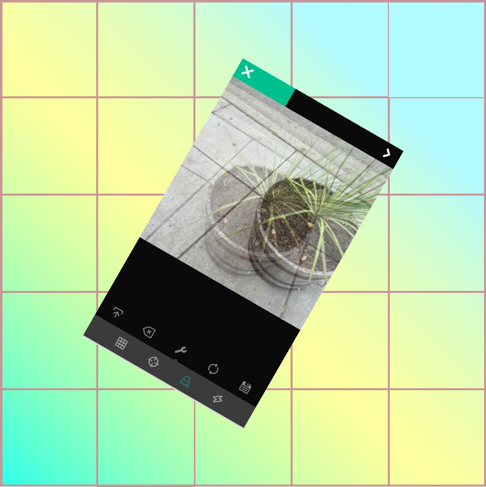 Vine, And The Second Death Of The Author - Tile (1000x1001), Png Download