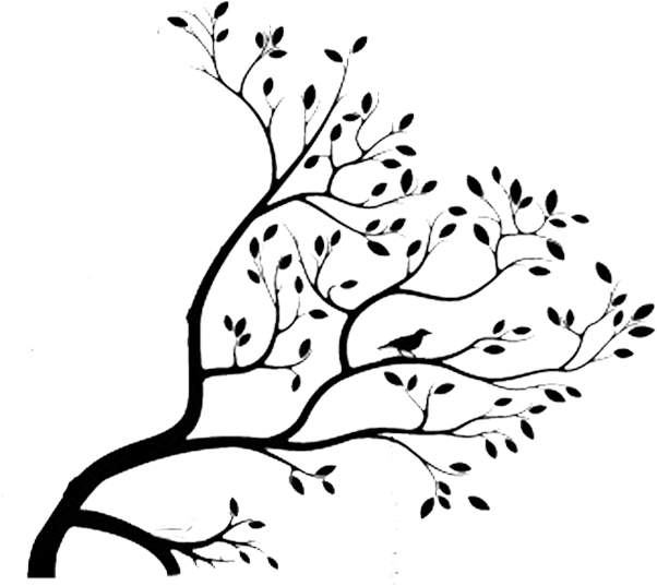 Vintage Resurrections Bird In A Tree Drawers Graphics - Bird In A Tree Drawing (705x571), Png Download