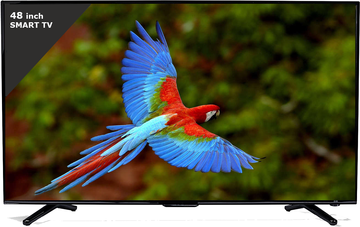 Esaplling 55inch Tv, Esaplling 48smart Tv - Birds In The Emergent Layer (1500x933), Png Download