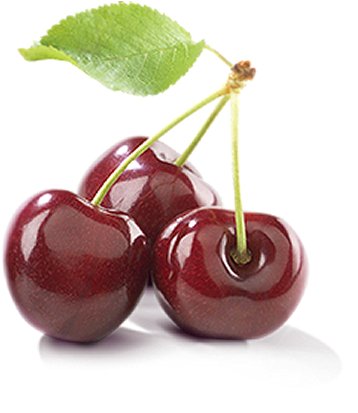 Fruktana Is A Company For Producing, Processing And - Cerasus (800x482), Png Download