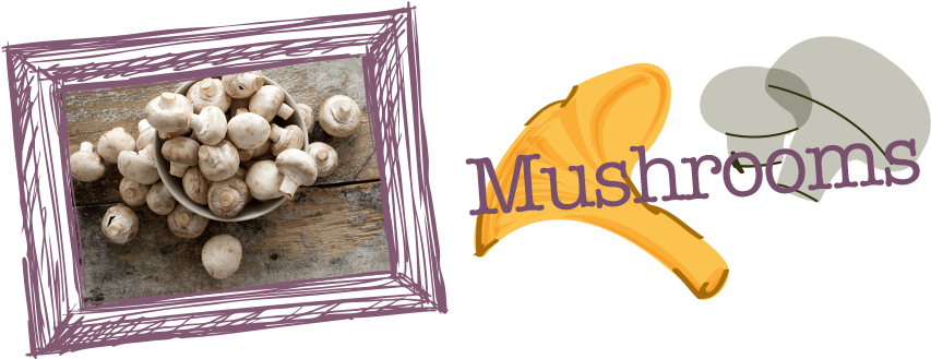 A Mushroom Is The Fleshy, Spore-bearing Fruiting Body - Jackson & Perkins Button Mushroom-growing Kit (940x340), Png Download