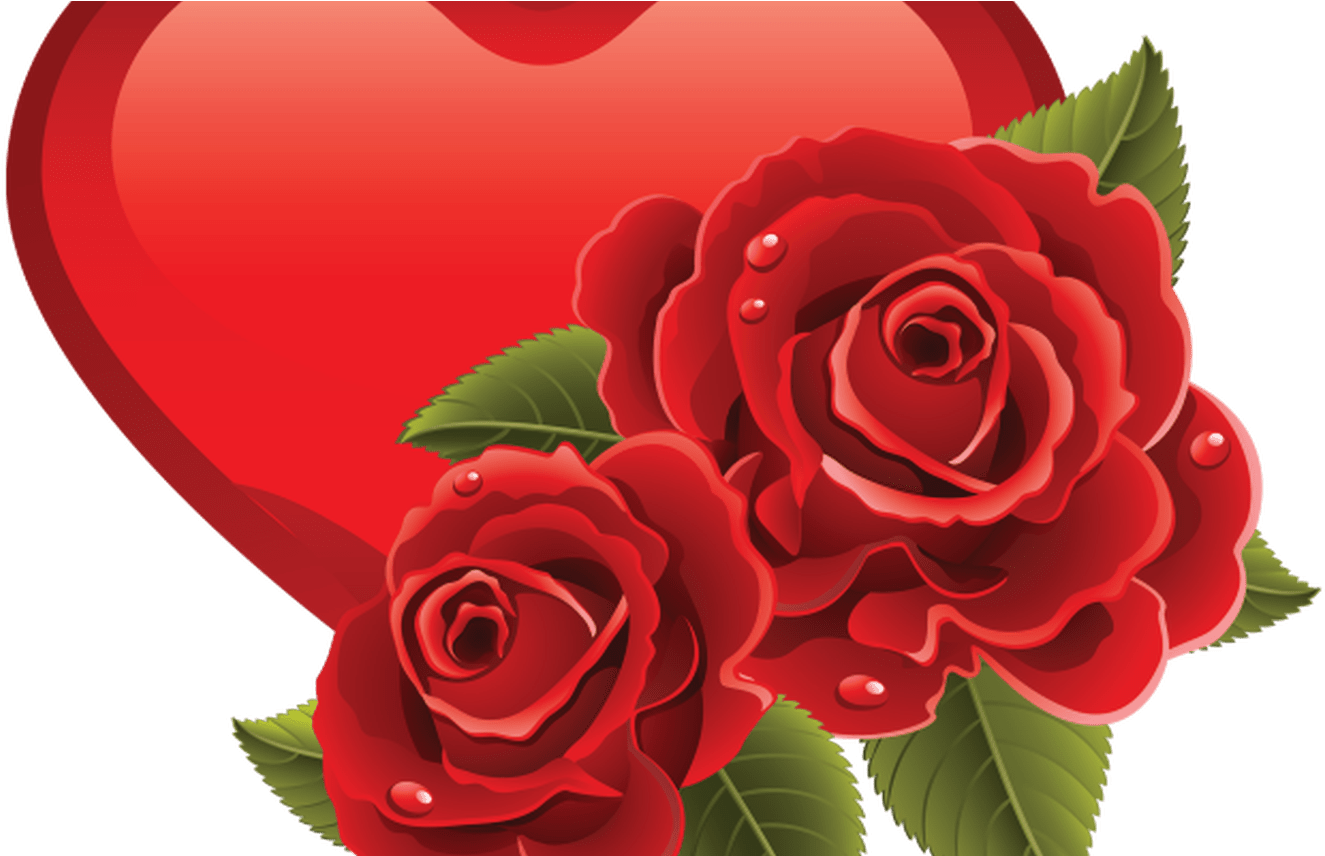 Heart, Love, Background, Day, White, Red, Symbol, Valentine, - Red Rose Beautiful Flower (1368x855), Png Download