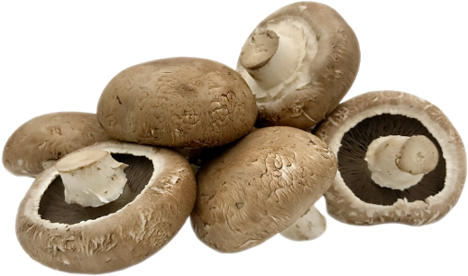 Portabellini Mushrooms - Portobellini Mushrooms (600x600), Png Download