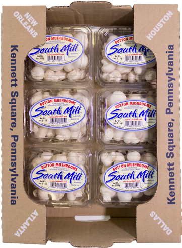 Fresh Mushrooms Whites Buttons Retail Mastercarton - Retail (500x500), Png Download