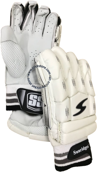 Ss Dragon Cricket Batting Gloves - Batting Glove (800x800), Png Download