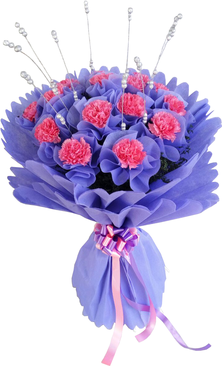 Carnations Bouquet - Garden Roses (720x1280), Png Download