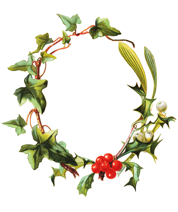 Christmas Holy Frame, Frame Holy Mistletoe Ivy - Clip Art (579x709), Png Download