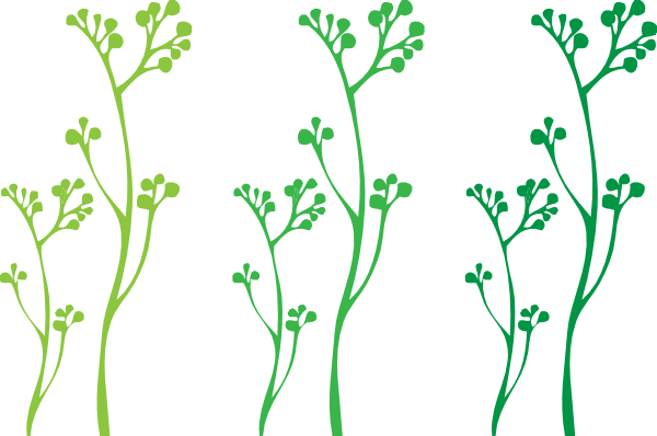 Plant Clipart Plant Stem - Plant Svg (600x398), Png Download