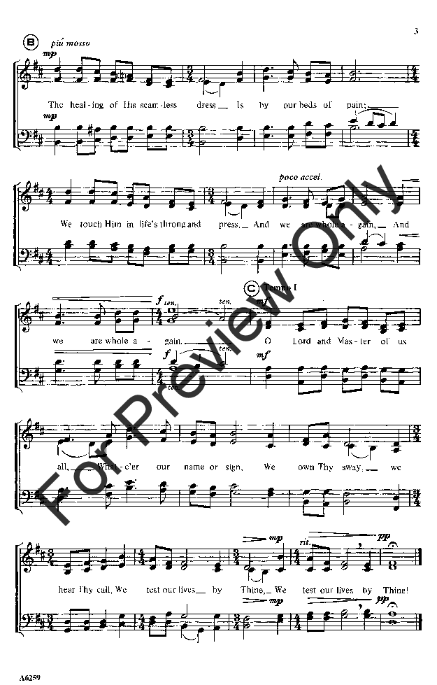 Immortal Love, Forever Full Thumbnail - Violin (815x1632), Png Download