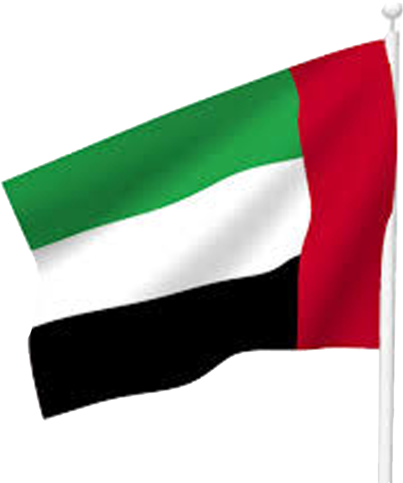 1 Freezer Truck Transport In Dubai - Flag (810x984), Png Download