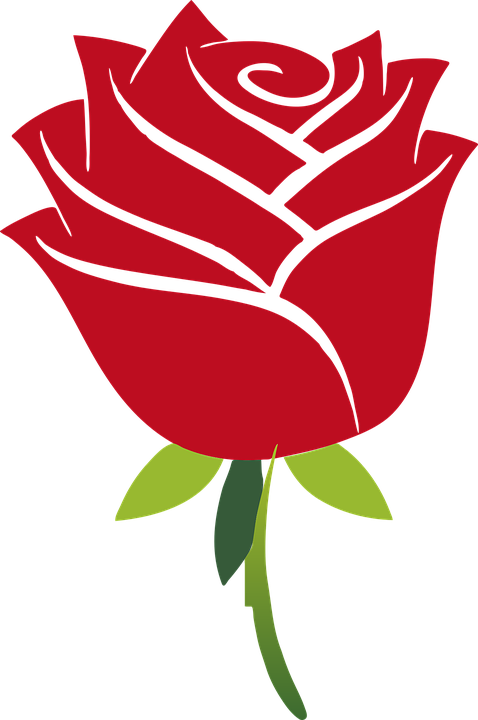 Art, Floral, Flower, Leaf, Leaves, Plant, Red, Rose - Beauty And The Beast Rose (478x720), Png Download