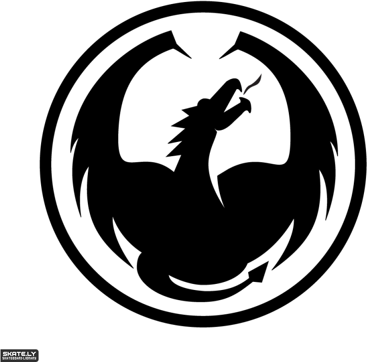Dragon Sunglasses Logo - Dragon Goggles (800x800), Png Download