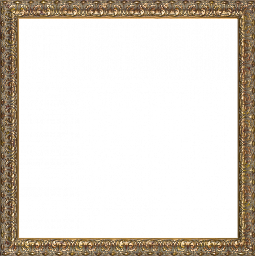 Golden Oak Leaf Frame - 'fox-coloured Finch' Framed Painting Print On Canvas (998x1000), Png Download