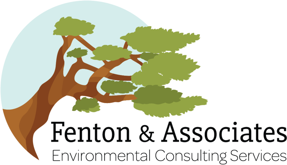 Fenton & Associates - Design (1000x641), Png Download
