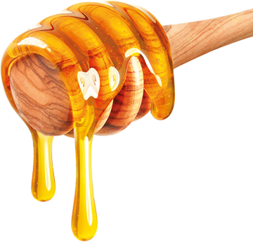 The Biggest Beekeeping Show In - Augason Farms Honey Powder - 3 Lb (360x344), Png Download