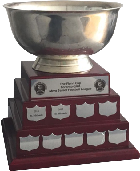 Toronto Gaa Senior Men's League Cup (500x600), Png Download