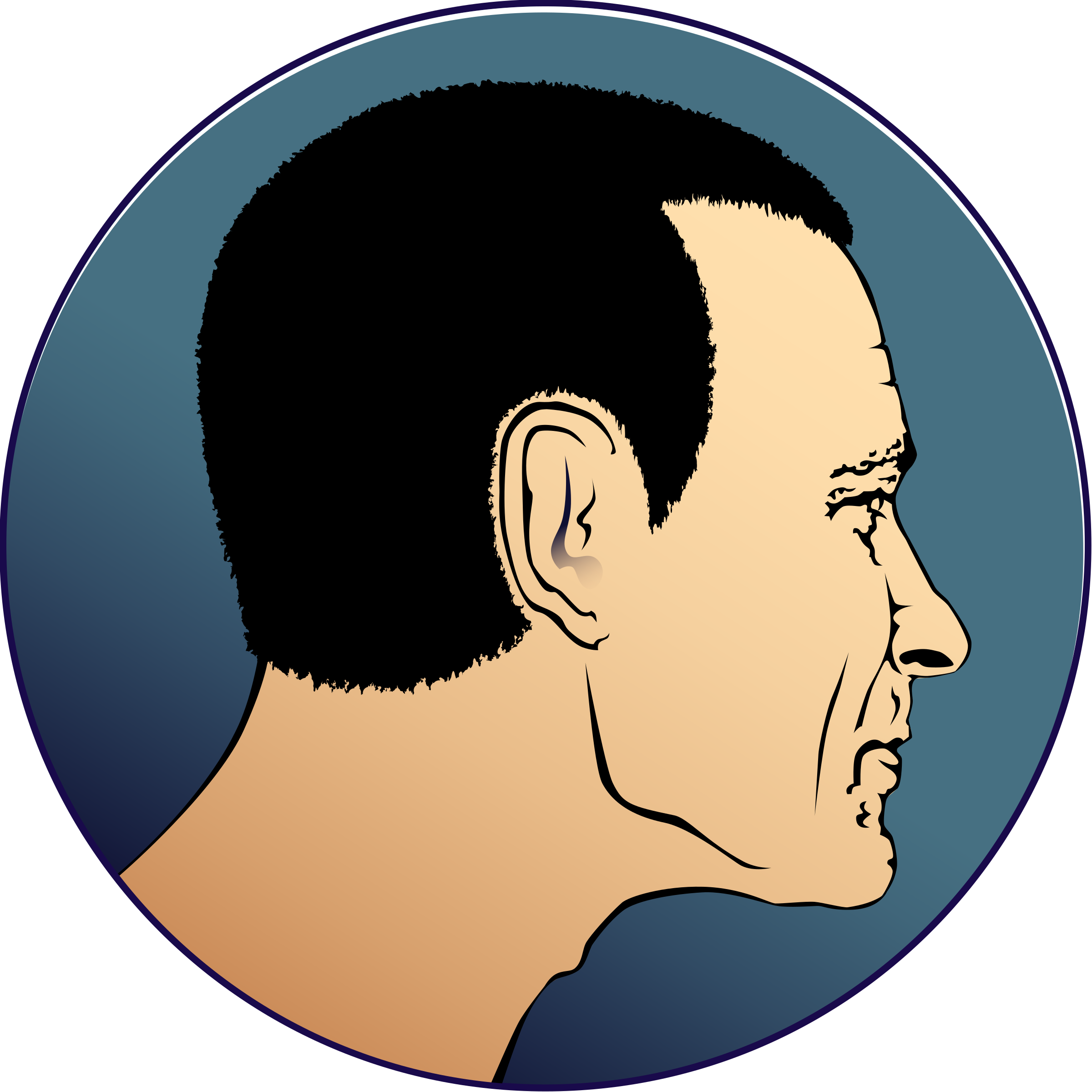 Drake Clipart Face - Head Profile Clipart (2400x2400), Png Download