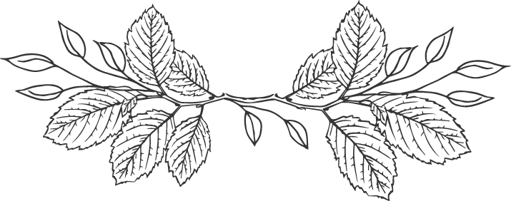 Registration - Hd Koi Fish Coloring Pages (715x282), Png Download